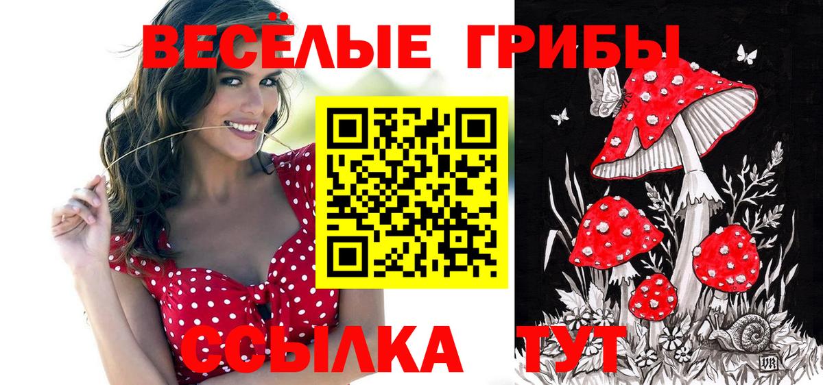 Галлюциногенные грибы прущие грибы  Псилоцибиновые грибы Magic Shrooms  Кузнецк  Вход с VPN 